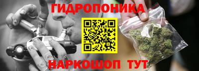 шишки Донской
