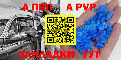 шишки Донской