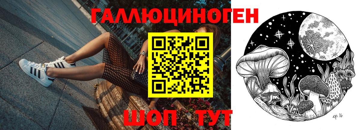 где найти наркотики  Псилоцибиновые грибы Psilocybine cubensis  Вход с VPN  Мурманск 