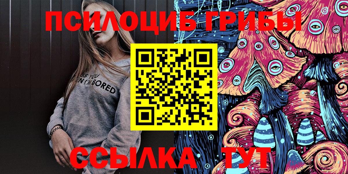 Псилоцибиновые грибы Psilocybe Мурманск